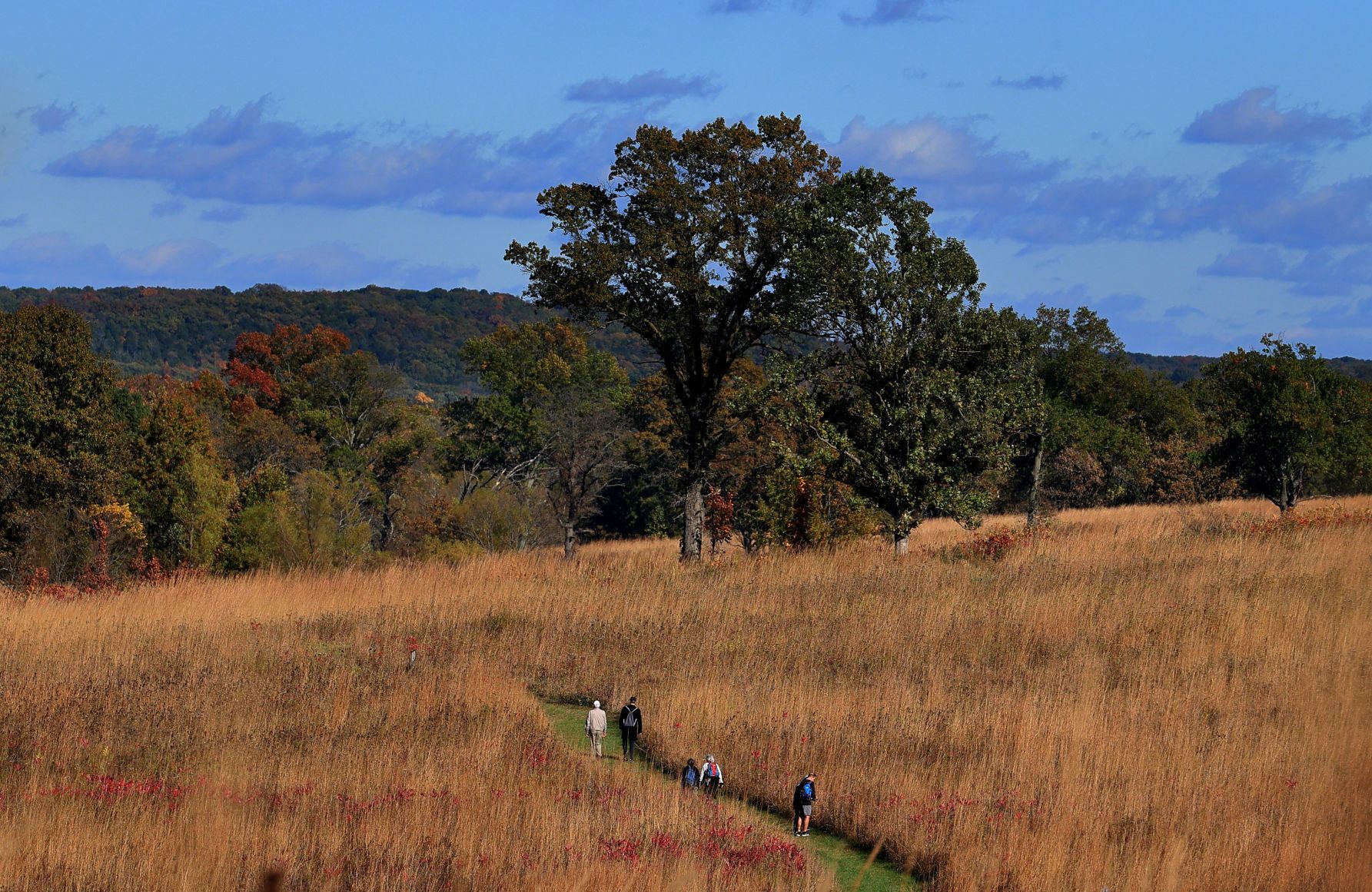 Fall color around St. Louis 2021